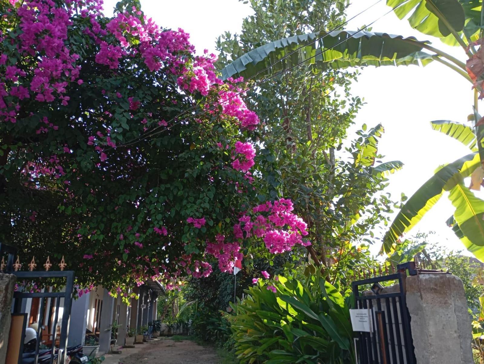 Wl Guesthouse Labuan Bajo Dış mekan fotoğraf