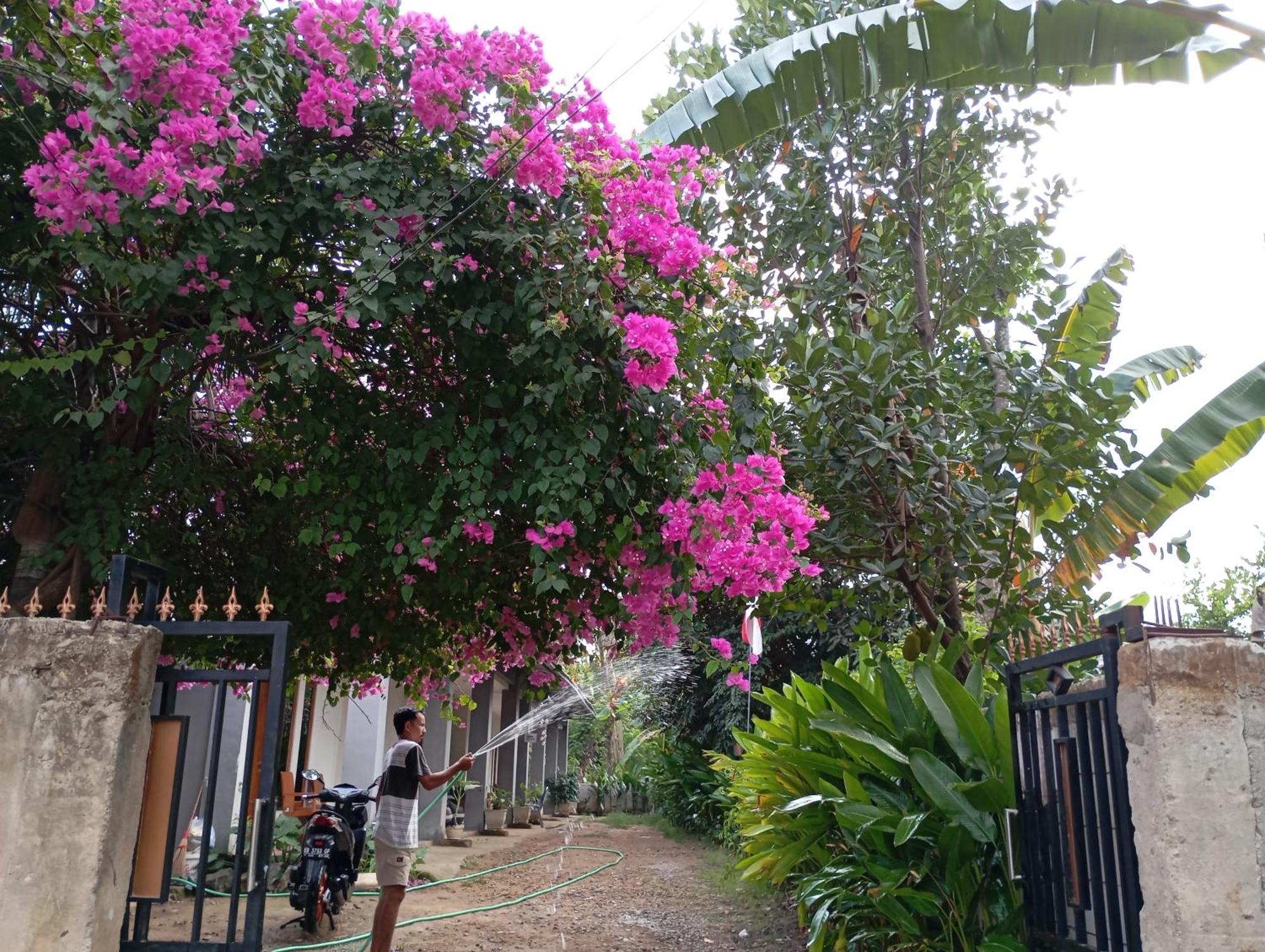 Wl Guesthouse Labuan Bajo Dış mekan fotoğraf