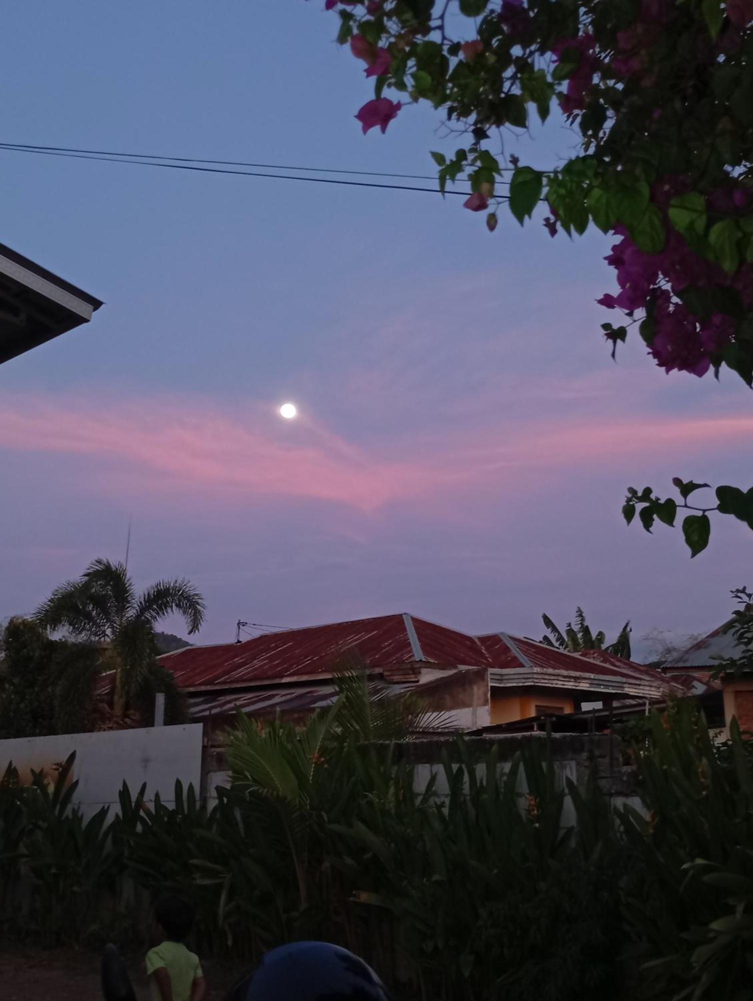 Wl Guesthouse Labuan Bajo Dış mekan fotoğraf
