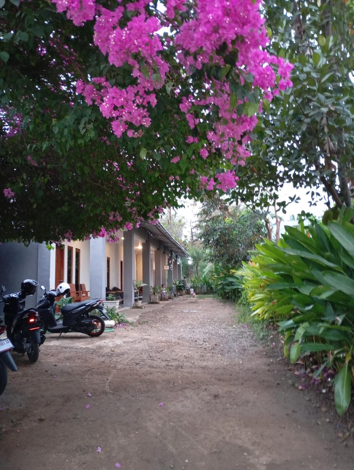 Wl Guesthouse Labuan Bajo Dış mekan fotoğraf