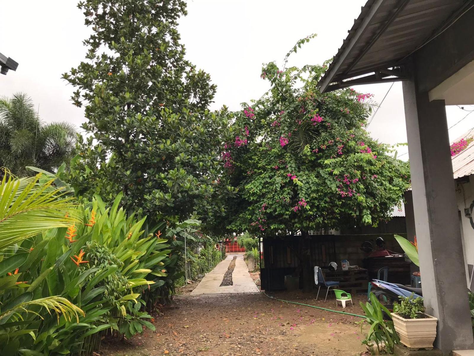 Wl Guesthouse Labuan Bajo Dış mekan fotoğraf