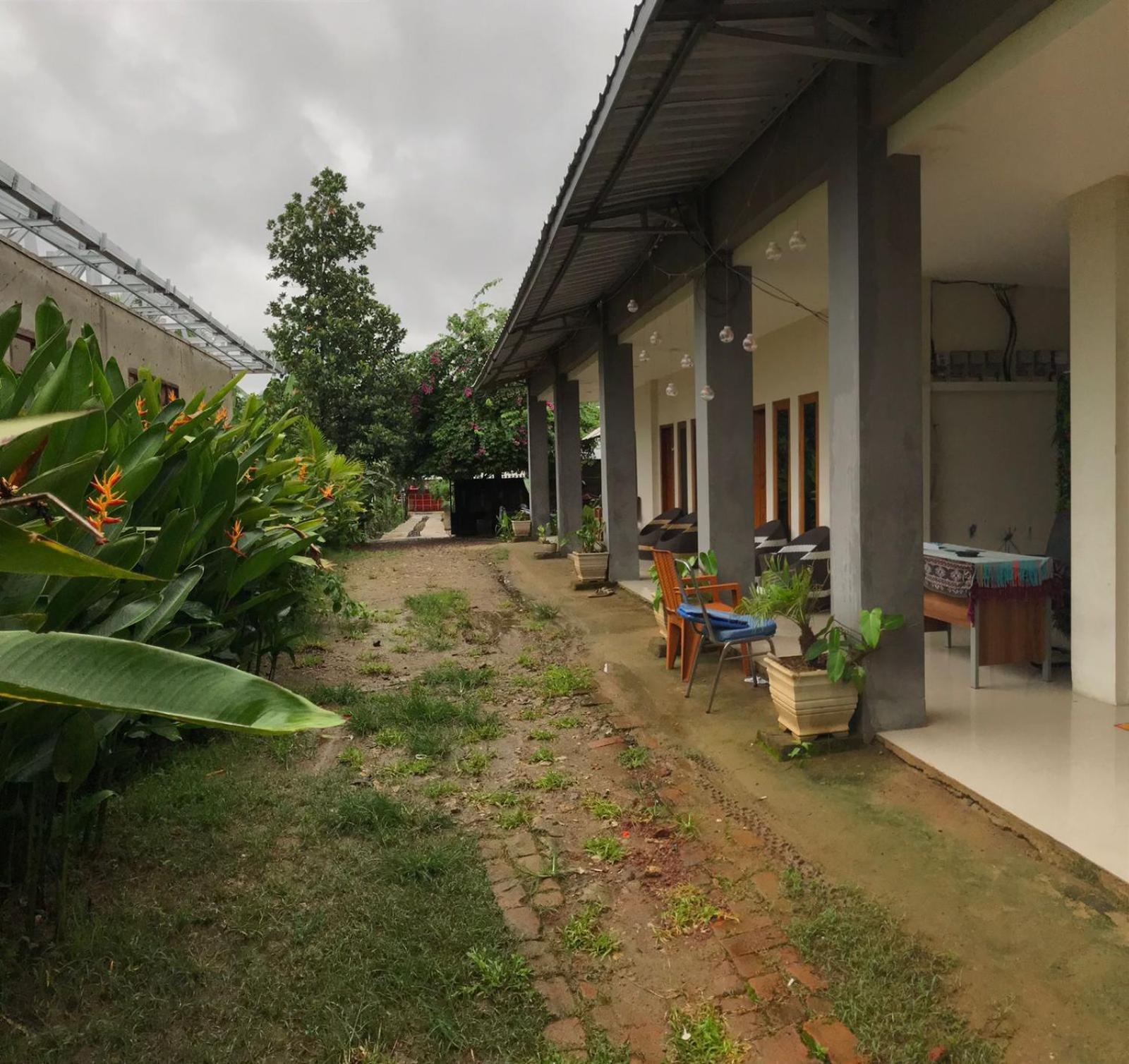 Wl Guesthouse Labuan Bajo Oda fotoğraf